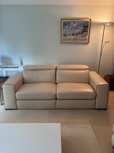 Natuzzi 2 seater - +,