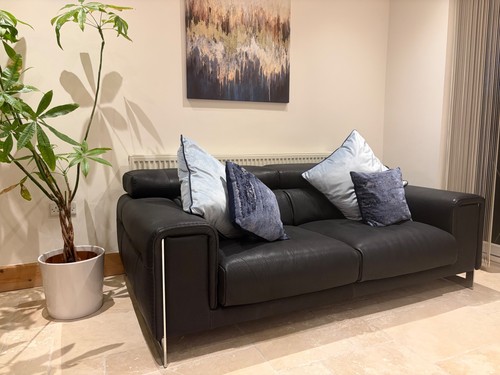 Natuzzi buffalo leather - , sofa