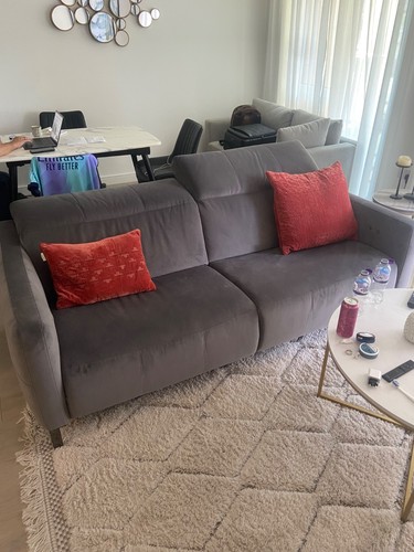 Natuzzi sophy electric couch - natuzzi,